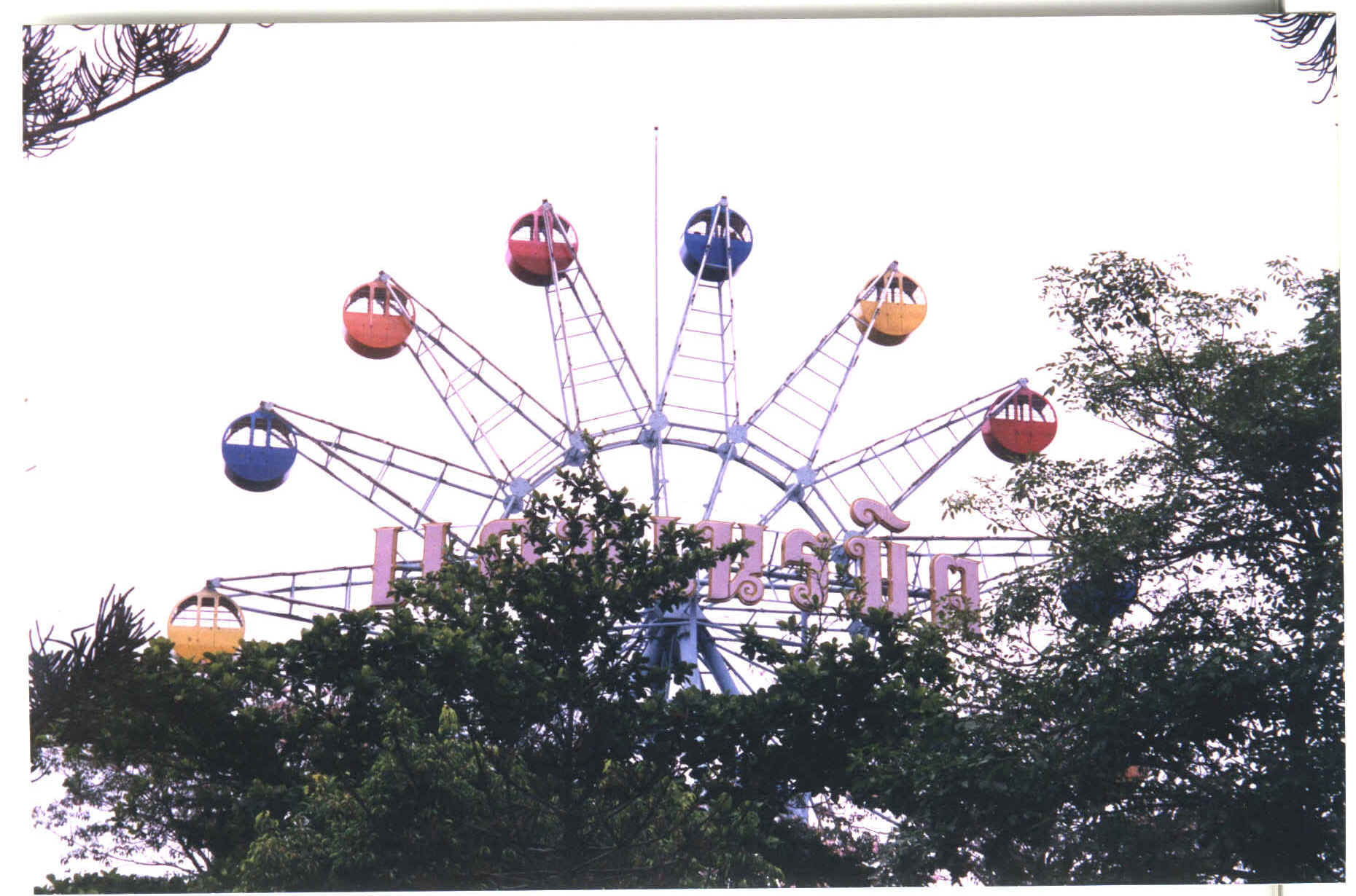 ferris.jpg (307894 bytes)